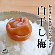 梅干し 白干し 無添加 無農薬 紀州 南高梅 農家の梅干し 和歌山 グリーンジャンクション
