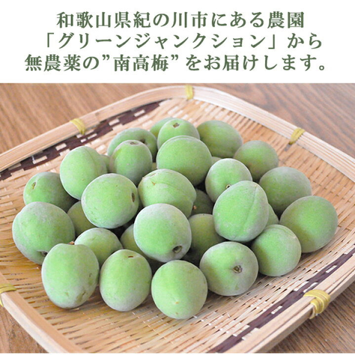 楽天市場】梅 青梅 南高梅 無農薬 5kg 送料無料 梅酒 梅干し 梅酢 梅 