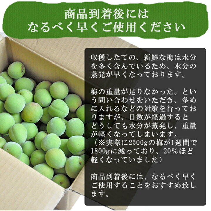 楽天市場】梅 青梅 南高梅 無農薬 20kg 送料無料 梅酒 梅干し 梅酢 梅  