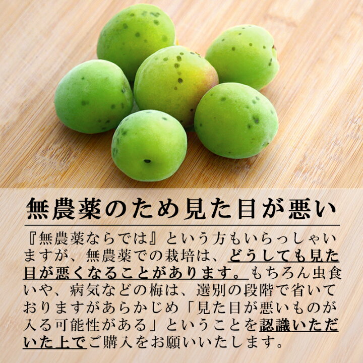 楽天市場】梅 青梅 南高梅 無農薬 20kg 送料無料 梅酒 梅干し 梅酢 梅  