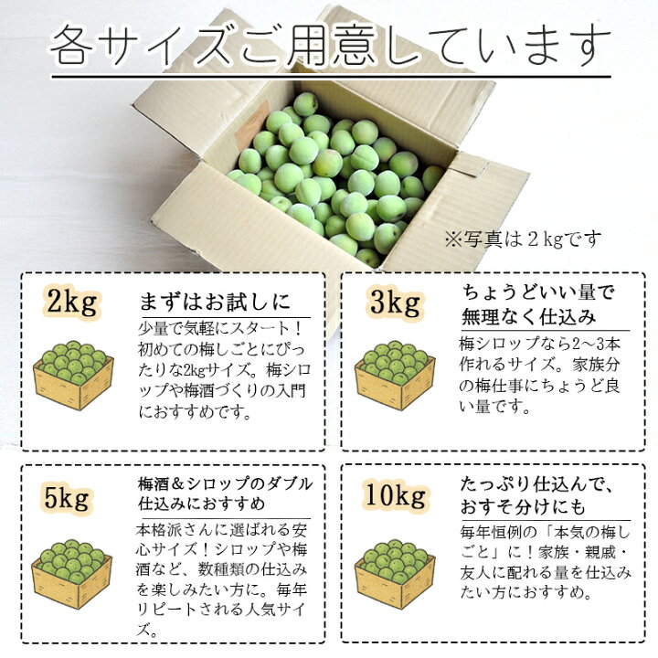楽天市場】梅 青梅 南高梅 無農薬 20kg 送料無料 梅酒 梅干し 梅酢 梅 