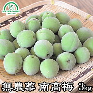梅 青梅 南高梅 無農薬 3kg 送料無料 梅酒 梅干し 梅酢 梅シロップ 酵素ジュース に最適 自然栽培、無農…