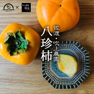柿 八珍柿 種無し 送料無料 5kg たねなし 佐渡島産 羽茂 果物 くだもの 柿酢 家庭用 ギフト 贈り物 贈答 …