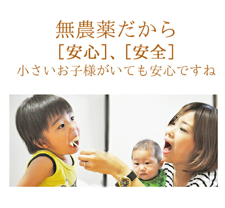 楽天市場 いちじく 生 オーガニック 9 12玉入 無農薬 進物 贈答 福岡県産 果物 ギフト イチジク くだもの 井上農園 ときわオンライン