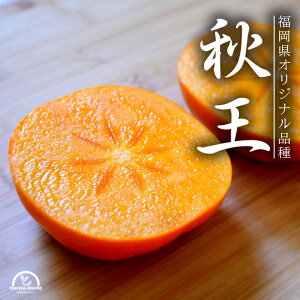 H ` 1.8kg MTCY5~7ʓ  _ƒ _