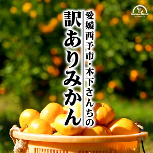 ݂ Q 󂠂 10kg _ bNX hܕsgp k  Yn _ \s Or ؉_