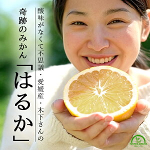 ͂邩 󂠂 ݂ 10kg Q _ bNX hܕsgp k ƒp  Yn _ ؉_