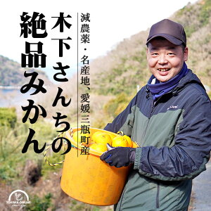 ݂ Q ƒp 킯 10kg _ bNX hܕsgp 󂠂 k  Yn _ ؉_