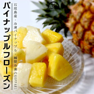冷凍 パイナップル フローズン 6パック入 国産 沖縄 パイン アップル 石垣島