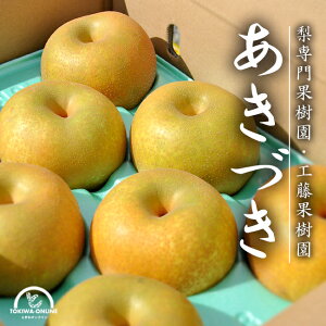 Â  7.5kg hV̓  Mtg hV̓ a iV ʕ  Od v̗ Hʎ