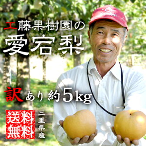 󂠂  5kgyz () ƒpǂyAzOdYbb傫bʕbt[cbʔ́b