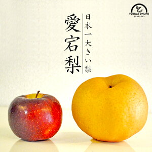   Ε i  2kg 蕨 Mtg v[g j Cj 䌩 䋟 Od 傫 ʕ t[c ʔ