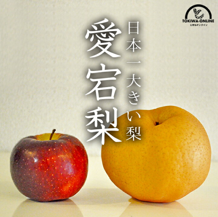 楽天市場 あたご梨 愛宕梨 お歳暮 進物 送料無料 2kg 贈り物 ギフト プレゼント 内祝い 快気祝 御見舞 御供 三重 大きい梨 果物 フルーツ 通販 ときわオンライン