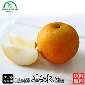 �쐅�� 2kg �� ������ �ʕ� �M�t�g �������� ���� �_������ �Ă̗� ���蕨 �Ȃ� �i�V �O�d�� �H���ʎ���