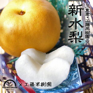 �V���� 2kg �� �ʕ� �M�t�g �������� ���� ������ �Ă̗� �V�� �a�� �Ȃ� �i�V �O�d�� �H���ʎ���