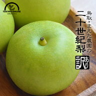 20世紀梨 訳あり 3kg 二十世紀梨 鳥取 送料無料 果物 鳥取県 梨 なし ナシ