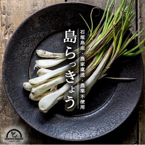 ��������傤 �� 4kg �y�t�� �Ɩ��p ������ ���H�X �������� ���� �Ί_�� ���Ђ� �V�Ղ� �|�Ђ� �ɍœK �_�ƒ��� �����b�L���E