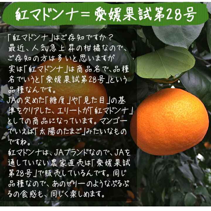 楽天市場】愛媛果試第28号 紅まどんな 同品種 訳あり 5kg 家庭用 送料無料 ノーワックス 農園直送 愛媛 八幡浜産 産地直送 マルナカ農園 : ときわオンライン 楽天市場】愛媛果試第28号 紅まどんな 同品種 訳あり 5kg 家庭用 送料無料 ノーワックス 農園直送 愛媛 八幡浜産 産地直送 マルナカ農園 : ときわオンライン