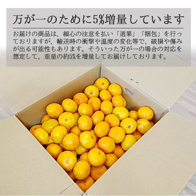 リピートNo.1 はるみ小玉果 10kg箱 - 果物