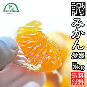 ݂ 5kg 󂠂  Q m[bNX _ƒ B݂ ݂ ʕ lY Yn ~J }iJ_