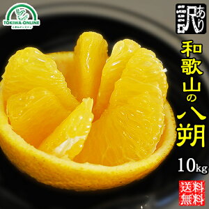 ͂ 󂠂 10kg   a̎R _ m[bNX  ʕ t[c ܂_