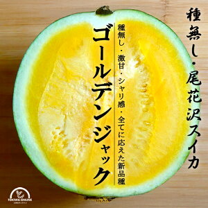 ���i�摜