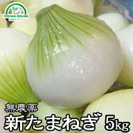 新玉ねぎ 無農薬 5kg 送料無料 酢玉ねぎやいろんな料理にどうぞ。自然栽培、有機肥料のみ使用 新玉ねぎ …