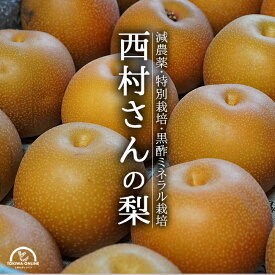 梨 3kg 新高 豊水 新興 幸水 贈り物 ギフト 農家直送 減農薬 特別栽培 新潟 果物 西村果樹ガーデン