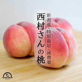 桃 3kg あかつき なつおとめ 白根白桃 まさひめ 新潟 果物 お取り寄せ 通販 農家直送
