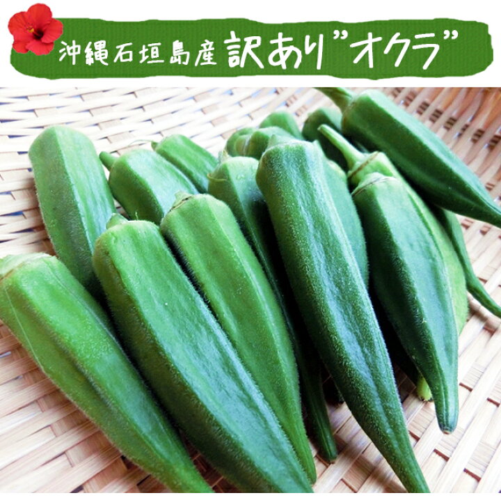 1257円 世界の オクラ 4kg 生 送料無料 訳あり 無農薬 沖縄県産 石垣島産 農園直送 おくら 沖縄産 1257円 世界の オクラ 4kg 生 送料無料 訳あり 無農薬 沖縄県産 石垣島産 農園直送 おくら 沖縄産