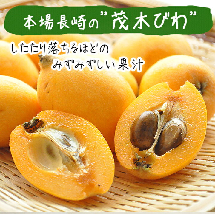 楽天市場 びわ 茂木びわ 送料無料 1kg Mサイズ 無農薬 長崎産 果物 フルーツ 枇杷 ビワ 農園直送 安心 安全 千々農園 ときわオンライン