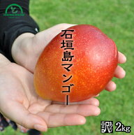 マンゴー 訳あり 2kg 沖縄 送料無料 石垣島産 農園直送 石垣島マンゴー わけあり 沖縄マンゴー 完熟マン…