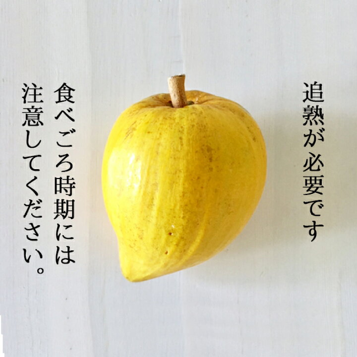 楽天市場 カニステル 沖縄 石垣島 1kg 南国フルーツ 無農薬 農薬不使用 除草剤不使用 ときわオンライン