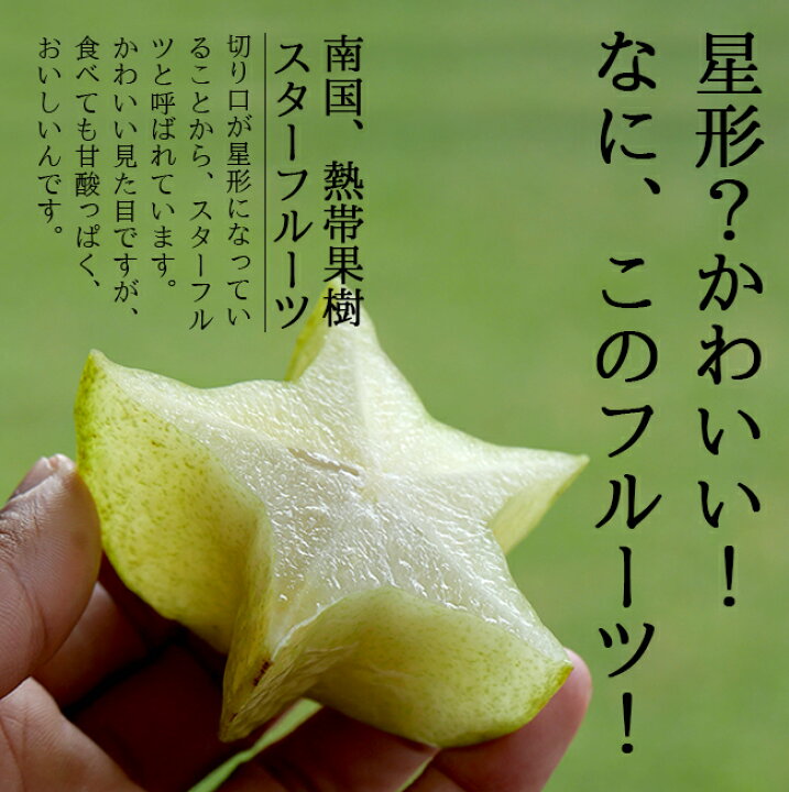 楽天市場】スターフルーツ 沖縄 石垣島 1kg 農家直送 ゴレンシ 五斂子 