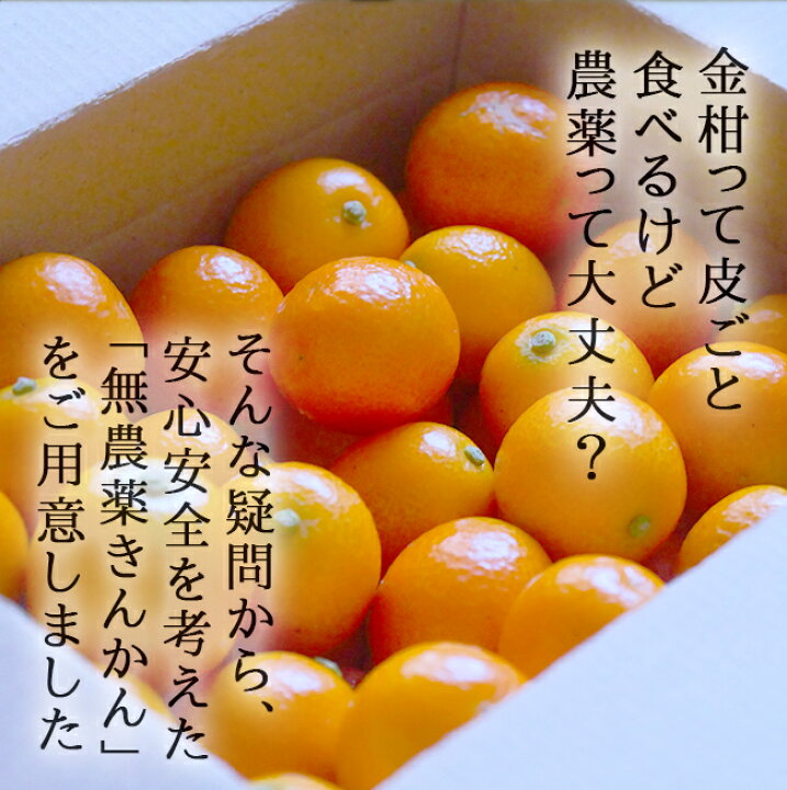 楽天市場】金柑 1kg 無農薬 生で皮ごと まるかじり 丸ごと キンカン 