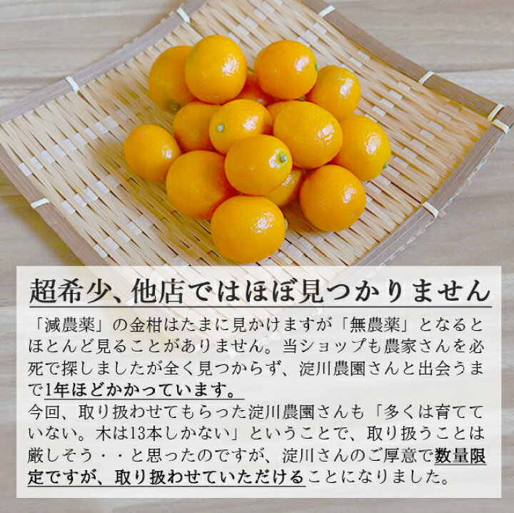 楽天市場】金柑 3kg 無農薬 生で皮ごと まるかじり 丸ごと キンカン 