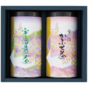 yMtgÊzQ Fl FT-50(B5)