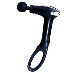 yEÊzO[oEWp hKA[vX(ubN)(B4)