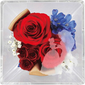 yEÊzGelt[ fBYj[vZX(Ɩb) 2022DO-002SH(A5)