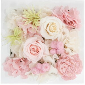 yEÊzvU[uhEH[t[(XNGA) sN NCR-WALLPRI02-PI(A5)