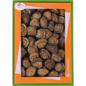 yEÊz啪Y ǂ񂱒ő(130g) LO-40S(A3)