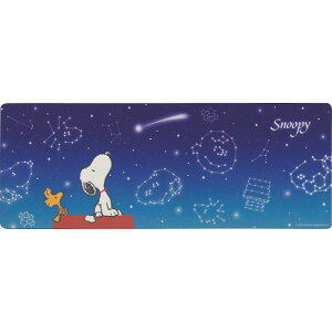 yMtgÊzs[ibc PVCO}bg(120cm) Xk[s[ 720640(A3)