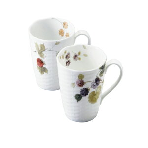 yMtgÊzi~ [V[K[f yA}O 96011-21903P(B5)