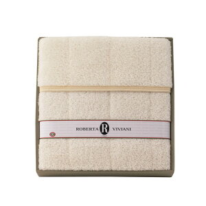 yMtgÊzx^ErrA[j 炩^b`~pbg RVP-42151(A3)