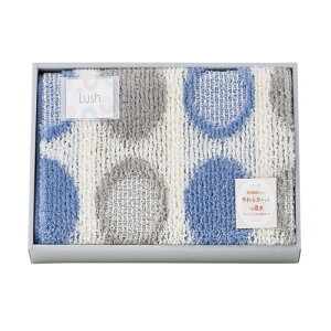 yMtgÊzbV 唻oX}bg u[ 095667BL(A3)