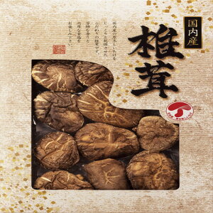 yMtgÊzYǂ񂱒ő JMD-20IS(A4)