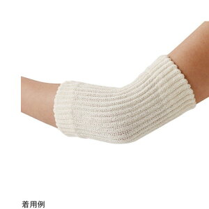 Z@ ҂񂾃VNT|[^[ Ђp 1gi2j@@4985697000112