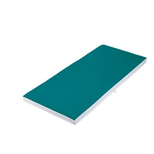 irXiAYj 􂦂郀Ȃ̈U}bgXiw̍\j1890×830×80mm u[@HD-HYBL83@4582619620894