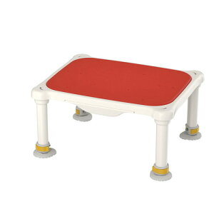 A yʗi҂jW\tg20-30 bh@4970210033609@pi pi