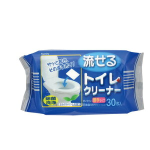 aH gCN[i[i^Cvj 1܁i30j@@4969757128824